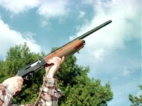 Χαλκιόπουλο: Νεκρός 60χρονος από πυροβολ...