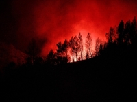 Φωτιές: Ολονύχτια μάχη με τις φλόγες στη...