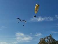 Πατρινό Καρναβάλι: Ανεμοπτεριστές με ακρ...