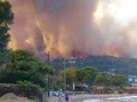 Χρυσοχοϊδης για φωτιά στη Ζήρια: «Ψάχνου...