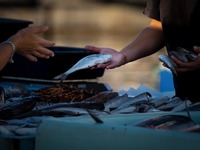 Ακρίβεια με άρωμα θάλασσας: Στα ύψη οι τ...