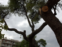 Ψηλαλώνια: Παράπονα ότι "πήραν με τ...