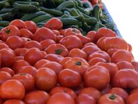 Πάτρα: Πότε και πού έχει Λαϊκή την Μεγάλ...