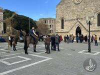 Ρόδος: Πιστοί με μικρά και μεγάλα ζώα συ...