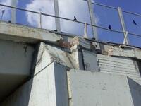 Κίνδυνος-θάνατος, λέει ο Τσελέντης, η γέ...