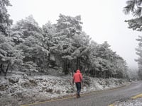 Καιρός: Χειμώνας όπως παλιά - Κολυδάς: Γ...
