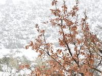 Καίρος - Meteo: Αυξήθηκε η χιονοκάλυψη σ...