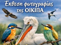 Έκθεση φωτογραφίας της ΟΙΚΙΠΑ με θέμα «Τ...