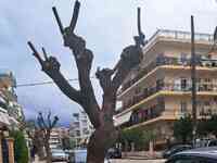 Πάτρα: Αυτή είναι η οδός Καζαντζάκη- Πρι...