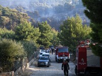 Πυρκαγιά στη Νέα Μάκρη: «Υπάρχουν ενδείξ...