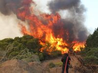 Φωτιά-Μεσσηνία: Ενεργό το μέτωπο στη Μέλ...