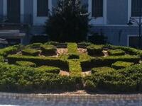 Πάτρα: Βρέθηκαν οι δείκτες του άνθινου ρ...