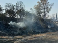 Φωτιά στα Κρέστενα: Ελεγχόμενη η κατάστα...