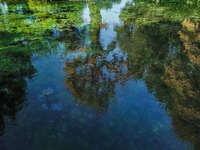 Λίμνη Πηγών Αώου: Μοιραίο παιχνίδι για τ...