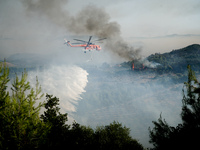 Φωτιά Ηλεία: Πληροφορίες για εγκλωβισμέν...