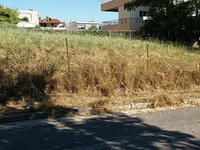 σπιράλ: Οι ευθύνες της δημοτικής αρχής κ...