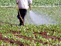 Χρήματα από τον ΟΠΕΚΕΠΕ σε αγρότες από τ...