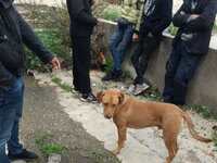 Έκκληση για βοήθεια προς τα προσφυγόπουλ...