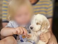 Θρήνος για τον μικρό Λίο: Σήμερα το τελε...