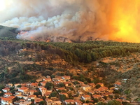 Εύβοια: Η φωτιά έχει φτάσει στην είσοδο ...