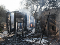Φωτιές στην Αχαΐα: Η καταγραφή για τα κα...