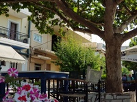 Το παλιό καλό καφενείο, κάτω από τα πλατ...