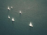 «Πριμαρόλια 2024» στον Πατραϊκό από τον ΙΟΠ