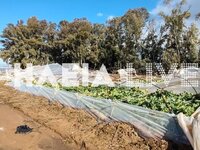 Μεγάλες καταστροφές από ανεμοστρόβιλους ...