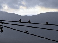 Καιρός: Αισθητή άνοδος της θερμοκρασίας από σήμερα