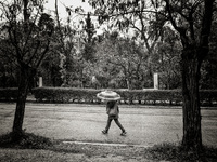 Καιρός- Πρωτομαγιά: Ποδαρικό με βροχές κ...