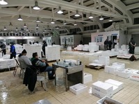 Στην ιχθυόσκαλα Πατρών ο Φ. Ζαΐμης – &qu...