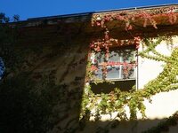 Πάτρα: Το παλιό Αρσάκειο "χάνεται&q...