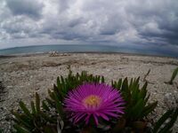 Μεταβολή θα παρουσιάσει ο καιρός-Πού θα ...