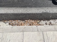 Το σημείο της Εθνικής Πατρών- Αθηνών που...