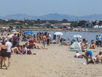 Γώγος: Ίσως και άνοιγμα των οργανωμένων ...