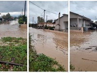 Δυτική Αχαΐα: "Βούλιαξαν" στη ...