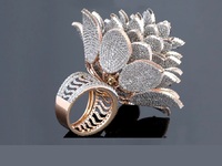 Ρεκόρ Γκίνες: Aπό νεαρό Ινδό κοσμηματοπώ...