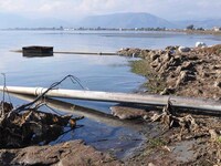 Κορωνοϊός: Αύξηση στο ιικό φορτίο στα ασ...