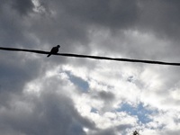 Καιρός: Αφρικανική σκόνη και άνεμοι Foen...