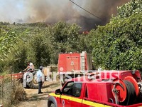 Ανεξέλεγκτη η πυρκαγιά στην Ηλεία! Απειλεί χωριά κοντά στην Αρχαία Ολυμπία - ΦΩΤΟ ΚΑΙ ΒΙΝΤΕΟ