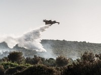 Μεγάλη φωτιά στην Αγριλίτσα Εύβοιας- Εκκ...