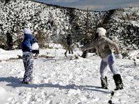 "Ζηνοβία": Προειδοποίηση Καλλι...
