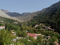 Λειβάρτζι: Το καταπράσινο χωριό της Αχαΐ...