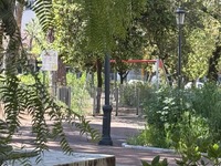 Πάτρα- κάτοικοι πλατείας Όλγας: «Θα μας ...