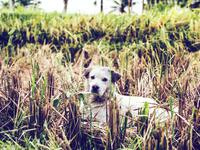 Πάτρα: Πέντε και μία επιστολές και ένα ε...