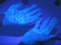 Πώς το σαπούνι σε 20¨ εξαϋλώνει τον κορω...