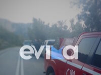 Εύβοια: Περιπέτεια για δύο ζευγάρια πεζο...