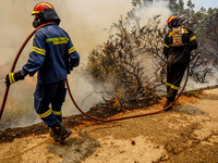 Αναζωπύρωση στη Λέσβο- Εκκενώνεται και ο...