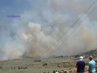 Φωτιά στην Άμφισσα: Ανεξέλεγκτα τα πύριν...