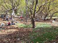 Παναχαϊκό όρος: Από δυσπρόσιτο στο παρελ...